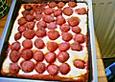 Erdbeer - Sauerrahm - Kuchen