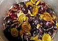 Pflaumen in Rotwein
