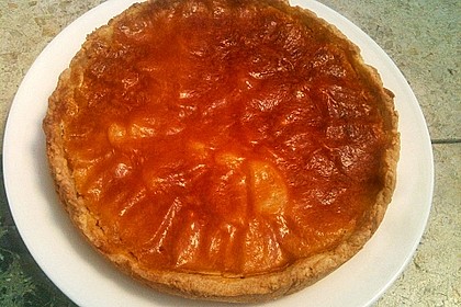 Dinkel - Zwetschgen - Wähe mit Rahm - Ei - Guss 3