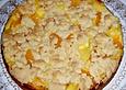 Mandarinen - Puddingkuchen mit Streuseln