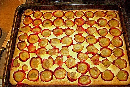 Marillen- oder Zwetschkenkuchen