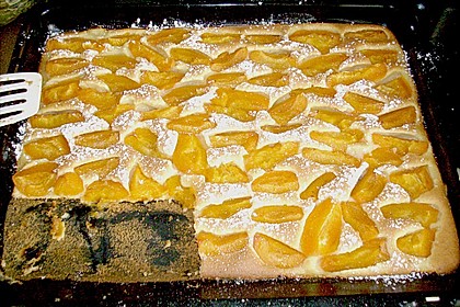 Marillen- oder Zwetschkenkuchen 1