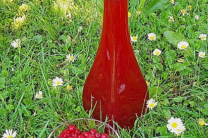 Johannisbeer - Essig 7