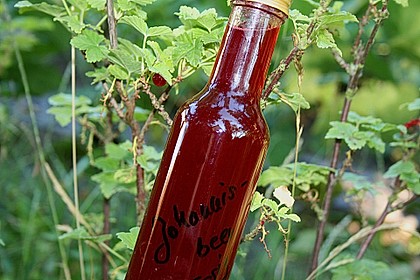 Johannisbeer - Essig 15