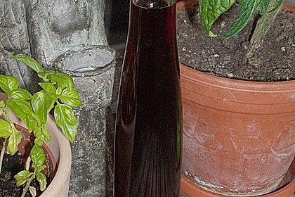 Johannisbeer - Essig 23