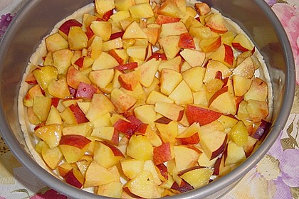 Obstkuchen mit Streuseln 29