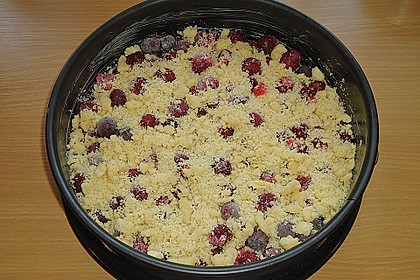 Obstkuchen mit Streuseln 15