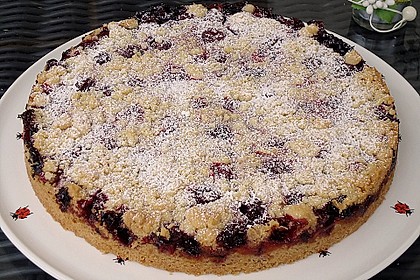 Obstkuchen mit Streuseln 17
