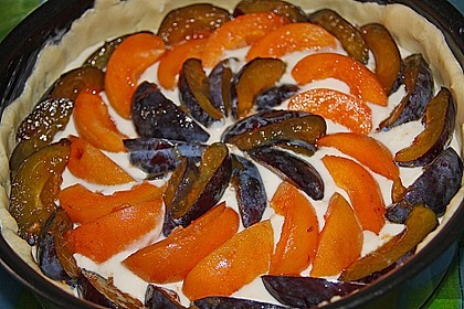 Obstkuchen mit Streuseln 24