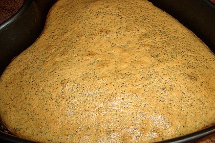 Illes super schneller Mohnkuchen ohne Boden mit Paradiescreme und Haselnusskrokant 26