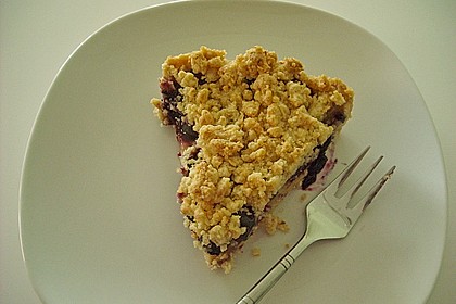 Fruchtige Heidelbeertarte mit Zimt - Kokos - Streuseln 6