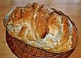 Bruno das Brot