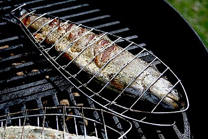 Forelle, gegrillt