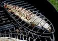 Forelle, gegrillt