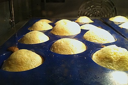 Original Madeleines 28