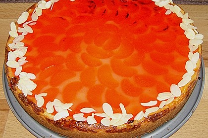 Mandarinen - Schmand - Kuchen 9
