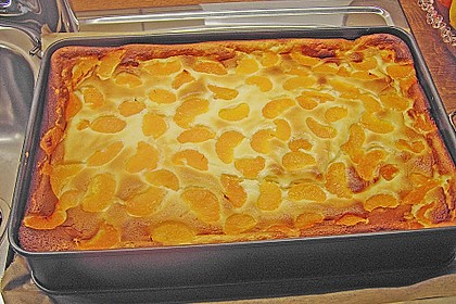 Mandarinen - Schmand - Kuchen 13