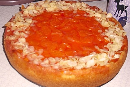 Mandarinen - Schmand - Kuchen 15