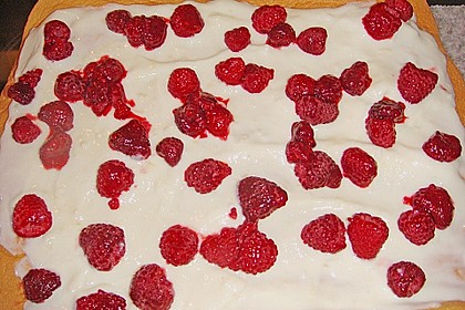 Biskuitroulade mit Joghurt - Himbeer F&uuml;llung 6