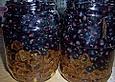 Cassis - selbstgemacht