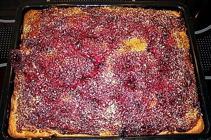 Schwarze Johannisbeere mit Kokosflocken 1