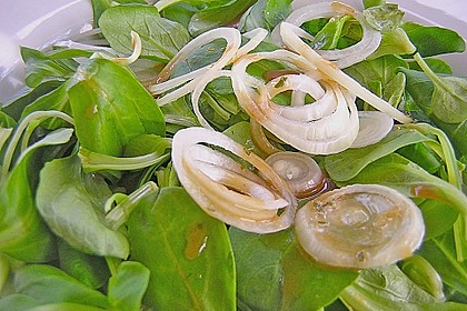 S&uuml;&szlig;es Dressing f&uuml;r Salat 2