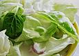 Marions Salatsauce