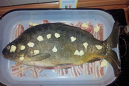 Karpfen gebacken