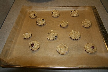 Urmelis wei&szlig;e Schokolade - Cranberry - Haferflocken - Cookies 13