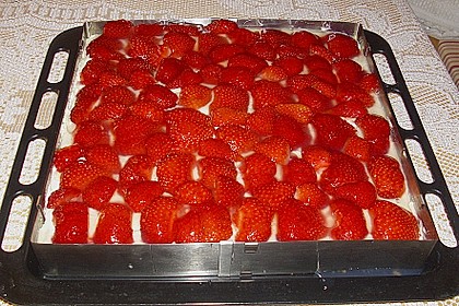 Erdbeerkuchen mit Schmand - Vanillecreme 4