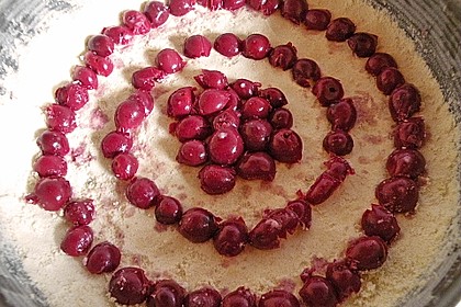 Erdbeerkuchen mit Schmand - Vanillecreme 9
