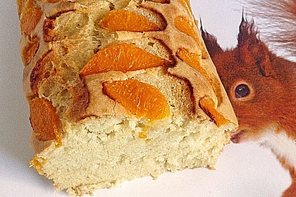 Kaddels Zitronenkuchen 31
