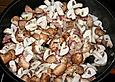 Pilz - Pfannkuchen
