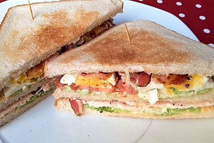 New York Club Sandwich 28