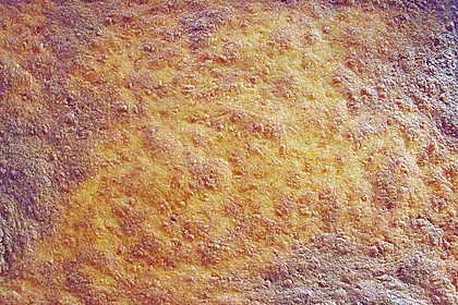 Albertos d&uuml;nnes Pizzabrot 33