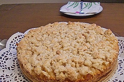 Apfelstreuselkuchen 7