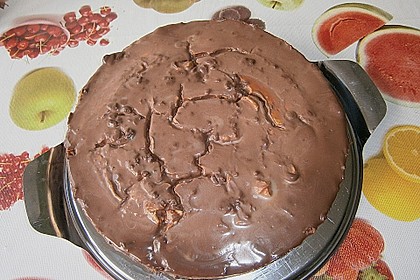 Chocolate Covered Vanilla - Fudge - Cheesecake 14