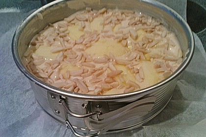 Super leichter Apfelkuchen 10