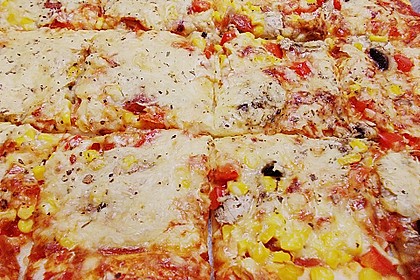 Leckeres Pizza - Blech 8
