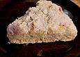 White Turtle - Tarte