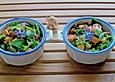 Blattsalate mit Avocado, Speck und Tomaten