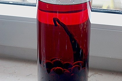 Schlehenlik&ouml;r