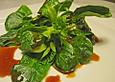 Dressing f&uuml;r Feldsalat mit Portwein