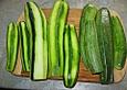 Eingemachte Zucchinischeiben