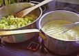 Spitzkohl - Lachs - Lasagne
