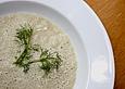 Fenchel - Rahmsuppe
