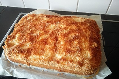 Kokos - Buttermilch - Kuchen 41