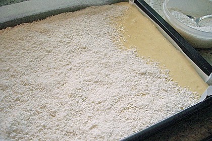 Kokos - Buttermilch - Kuchen 49