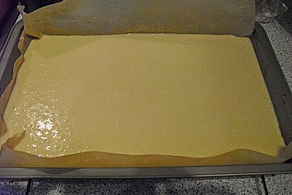 Kokos - Buttermilch - Kuchen 46