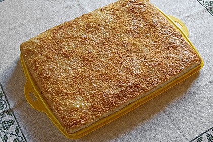 Kokos - Buttermilch - Kuchen 19
